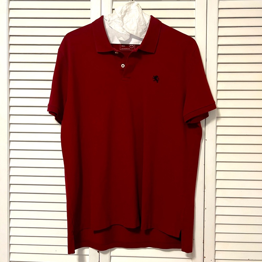 Mens collared shirt, polo, Express brand, XL